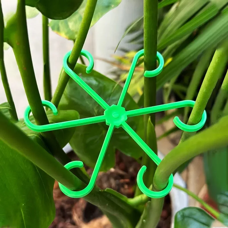 Flower Plant Stem Support Stak - Florist Supp 评论和价格