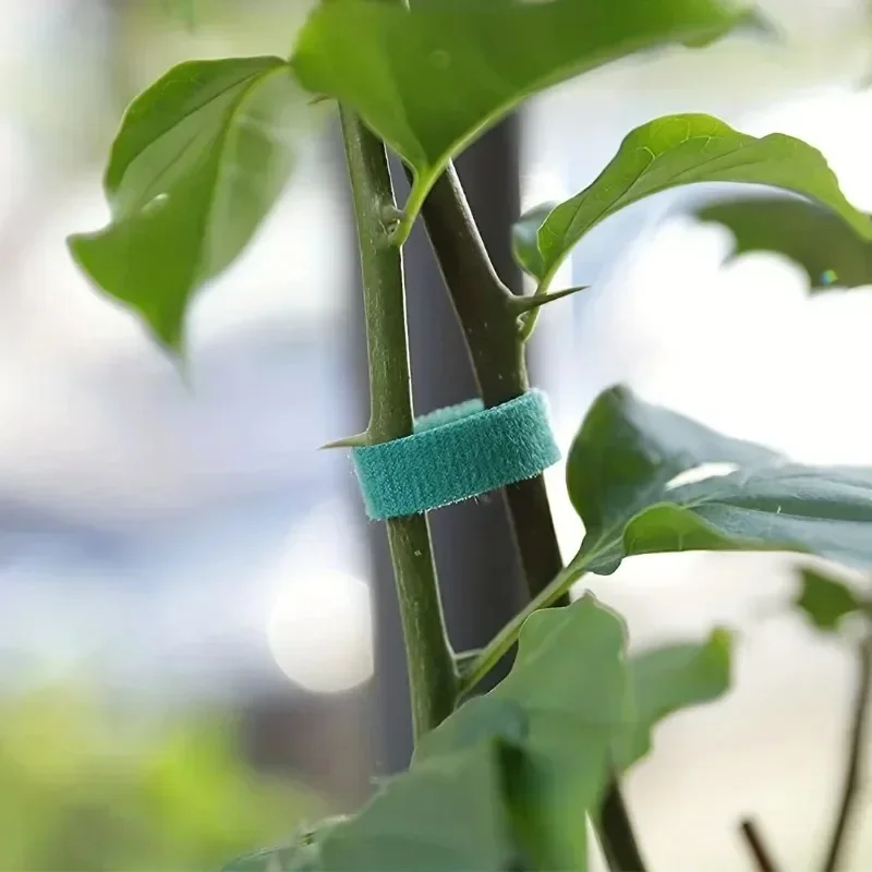 Garden Tape Nylon Cable Tie fo - Florist Supp 评论和价格