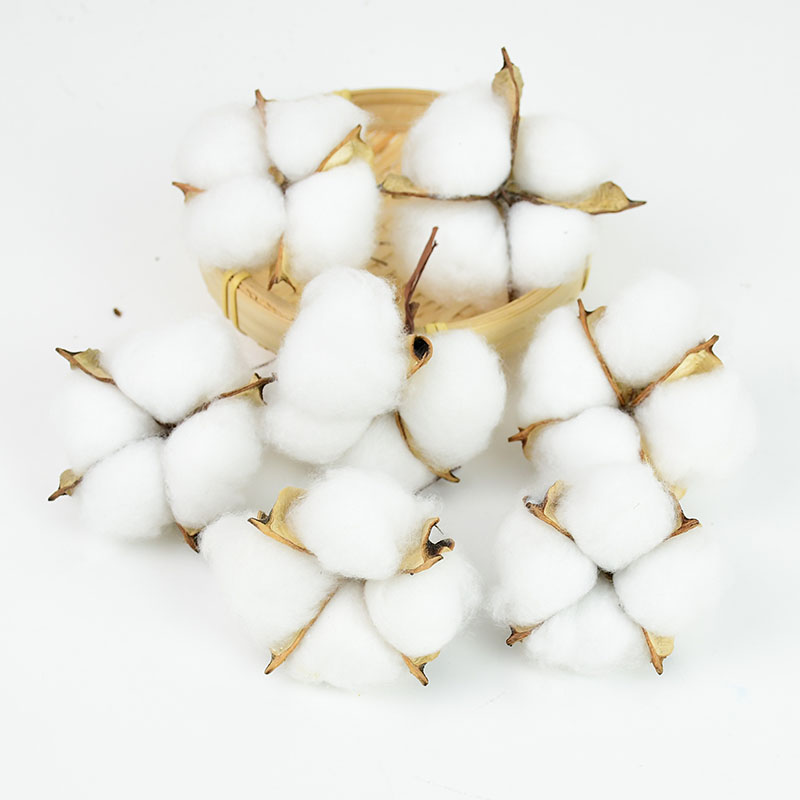 10Pcs White Cotton Florist Sup - Florist Wreath Supply 评论和价格