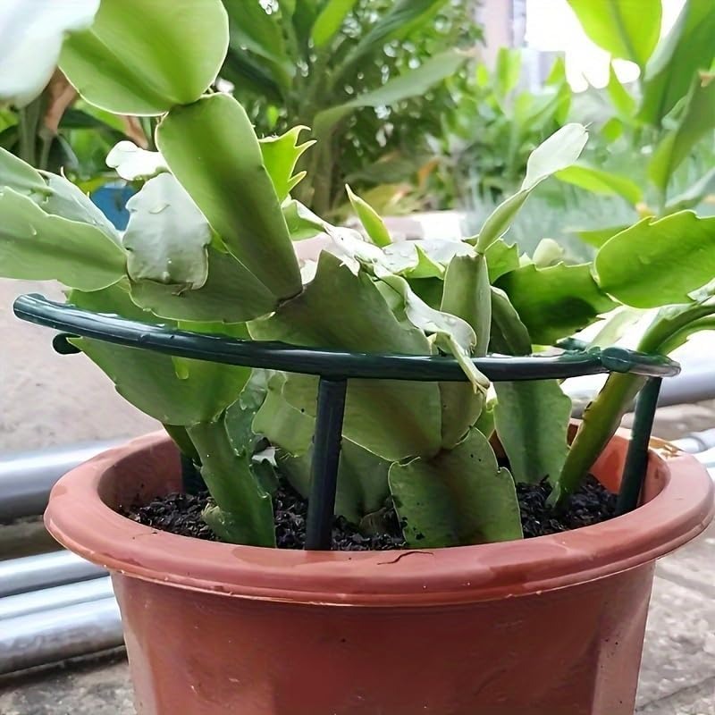 30-1PCS Plastic Plant Support  - Florist Supp 评论和价格